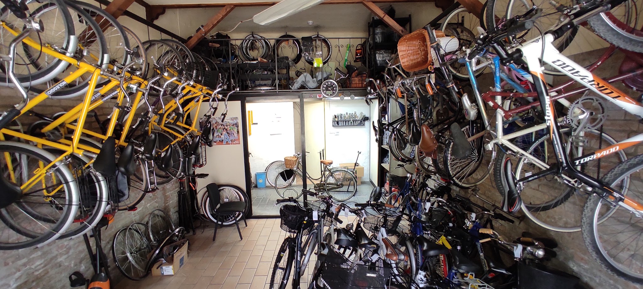 Interno della bottega con biciclette disposte lungo le pareti